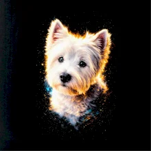 Obrázok poltón Bišónik