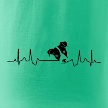 Jack Russell Terriér Ekg