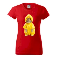 Králik v pláštenke