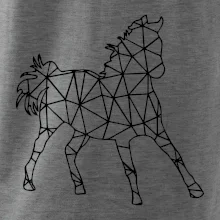 Geometria - kôň Geometria - kôň