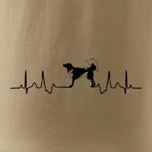 Český strakatý pes EKG
