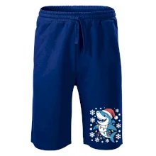 Vánoční žralok a vločky