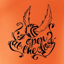 Harry - Zlatá strela Harry - Zlatá strela