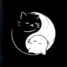 Mačky jin jang Mačky jin jang