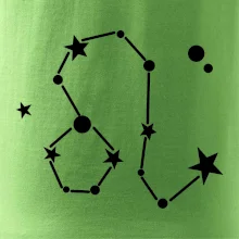 Súhvezdie - Leo - Lev