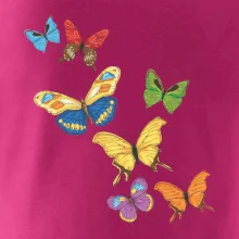 Farebné motýle Farebné motýle