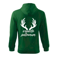 Harry - Expecto patronum Harry - Expecto patronum