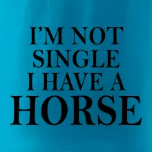 I have a horse