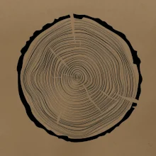 Letokruhy 50 bez veku