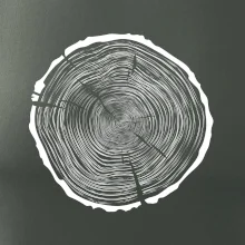 Letokruhy 85 bez veku