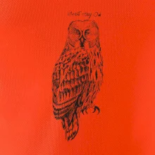 Sova bradatá Barred owl