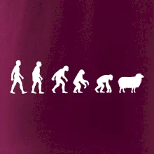 Evolúcia ovce