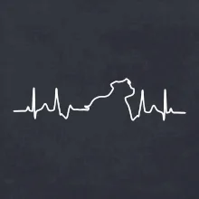 Stafordšírsky bulteriér ‎ EKG