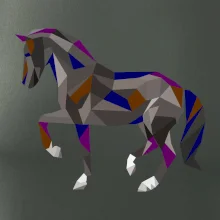 Kôň geometria farebný