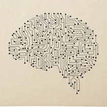 Tlačený spoj mozog