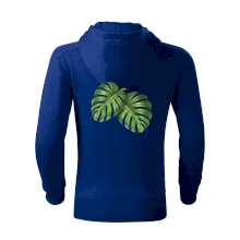 Monstera - dva listy