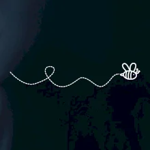 Dráha letu včely - vlnovka