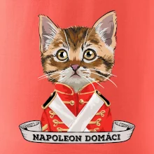 Napoleon domáci mačka