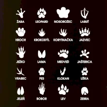 Zvieracie stopy - názvy
