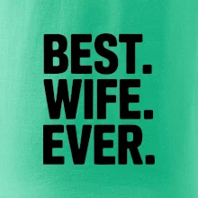 Best wife ever