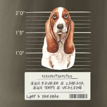 Baset - lump a darebák  