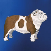 Vintage English bulldog