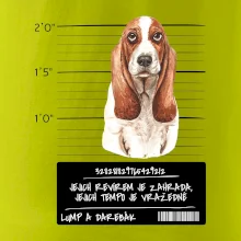 Baset - lump a darebák   Baset - lump a darebák