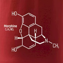 Molekulárna štruktúra Morfín
