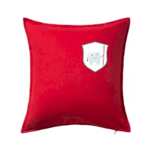 Zúbok na prsníku - zubná kefka