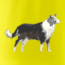 Border kólia kreslená