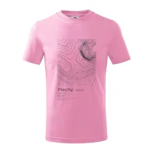 Plechý - vrstevnice v obdĺžniku