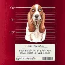 Baset - lump a darebák  