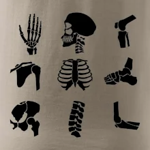 Röntgen - ikony Röntgen - ikony