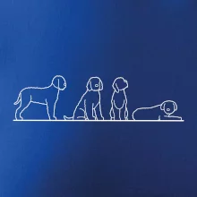 Lagotto romagnolo postavy linka