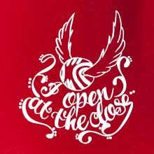 Harry - Zlatá strela