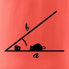 Matematická myš Matematická myš