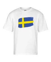 Švédsko vlajka štetkou