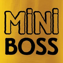 Big boss mini boss