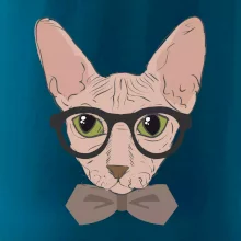 Hipster sphynx