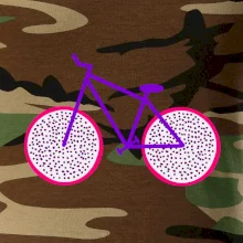 Bicykel dračie ovocie (Moňas)