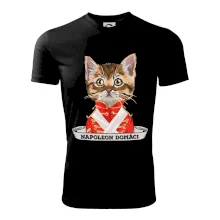 Napoleon domáci mačka