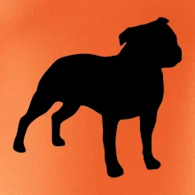 Americký stafordšírsky teriér Na prsníku