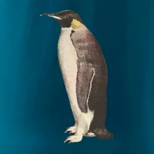 Tučniak kreslený vodovými farbami