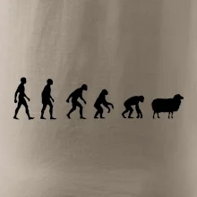 Evolúcia ovce Evolúcia ovce