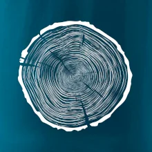 Letokruhy 85 bez veku