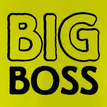 Big boss mini boss
