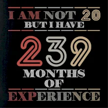 20 years 239 months of experience