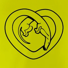 Jazvečík srdca - obrys