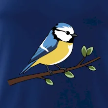 Sýkorka modrinka na vetve