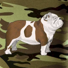 Vintage English bulldog